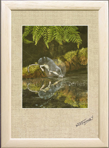 Image of Reflections ~ Water Shrew, Banks of the River Fal, Tregoss Moor, Cornwall
